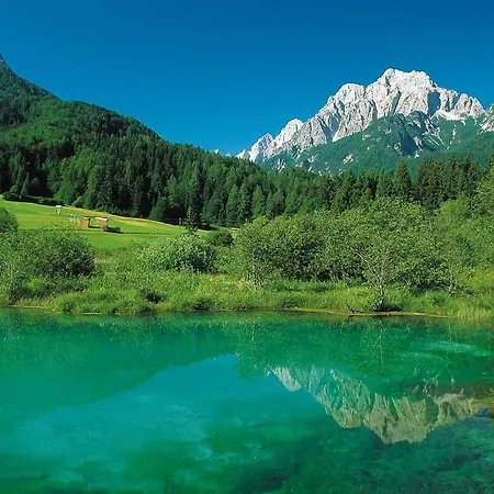 Pocitniska Hisa - Gorski Cvet * Šenturska Gora