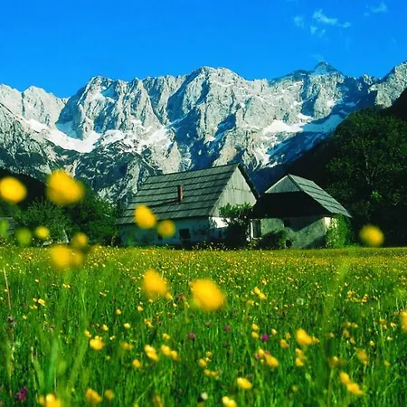 Pocitniska Hisa - Gorski Cvet Nyaraló Šenturska Gora
