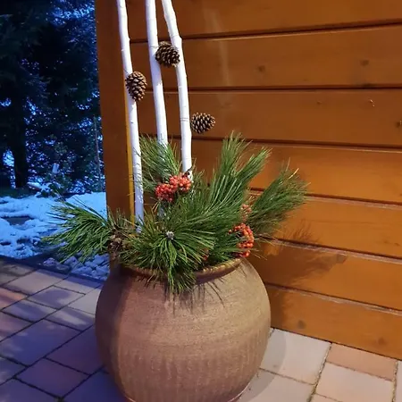 Pocitniska Hisa - Gorski Cvet * Senturska Gora