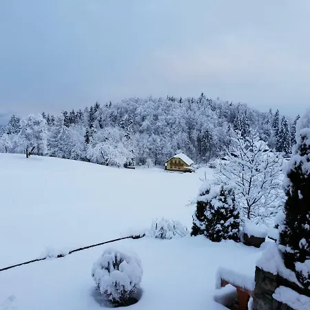 Pocitniska Hisa - Gorski Cvet *